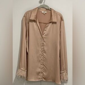 Satin Champagne Blouse Plus Size